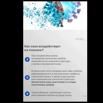 Озонирование от плесени и запахов в Гуш-Дане