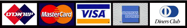 VISA MasterCard IsraCard Diners AmericanExpress